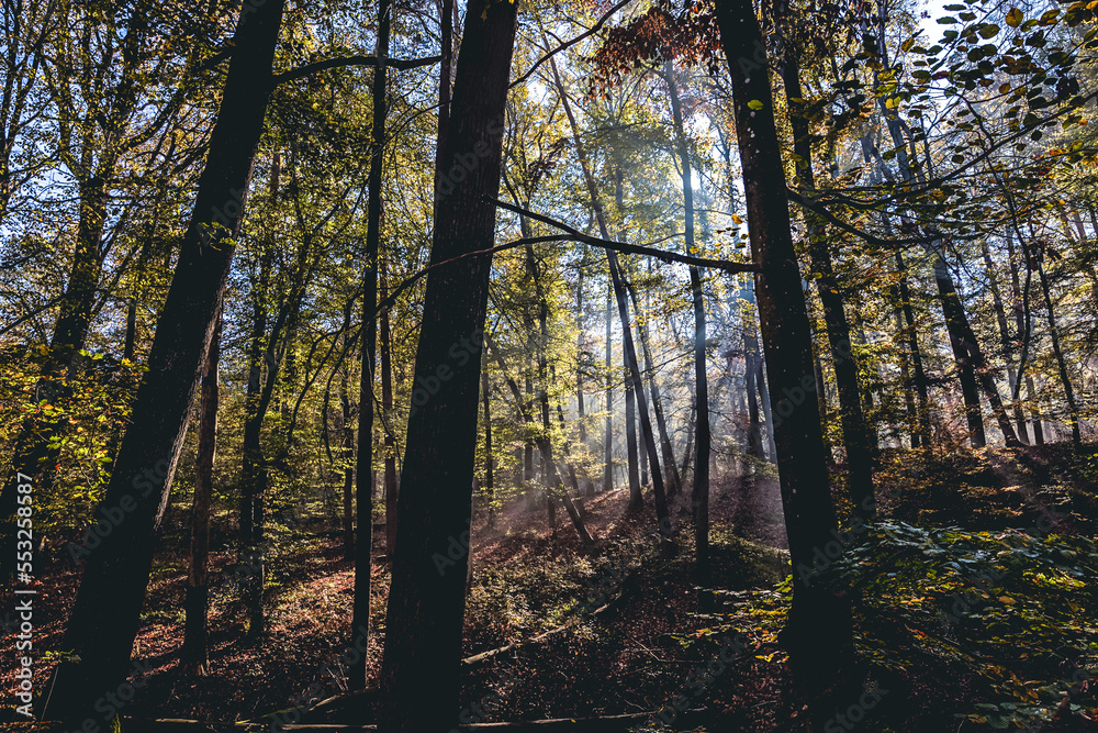 Obraz premium Herbststimmung im Zabergäu