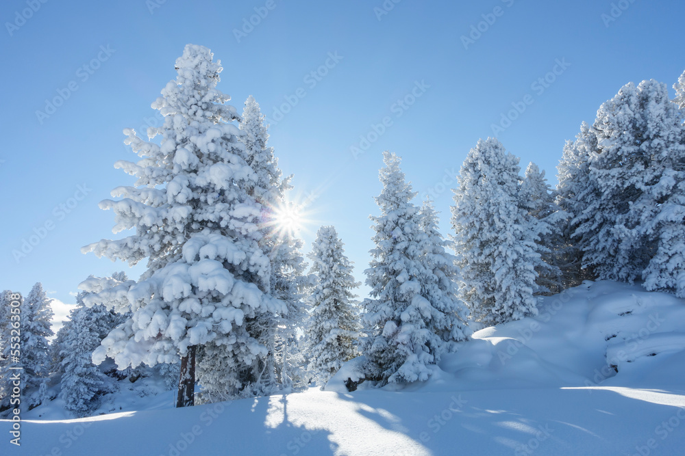 tief verschneite Winterlandschaft im tiroler Zillertal tief verschneite Winterlandschaft im tiroler Zillertal