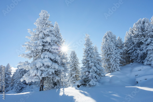 tief verschneite Winterlandschaft im tiroler Zillertal © by paul