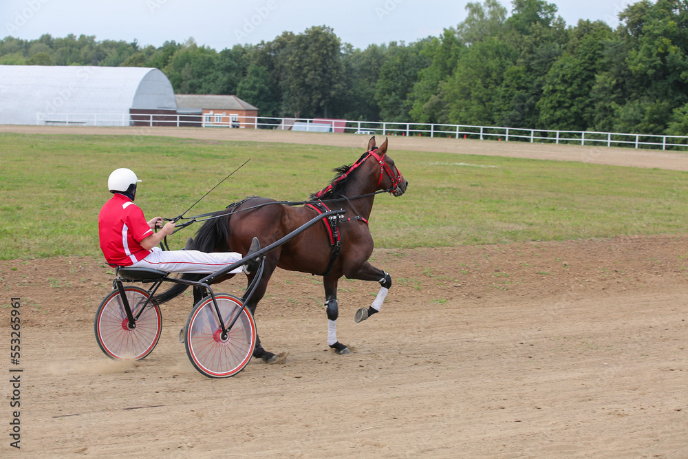 Horses and riders running at horse races