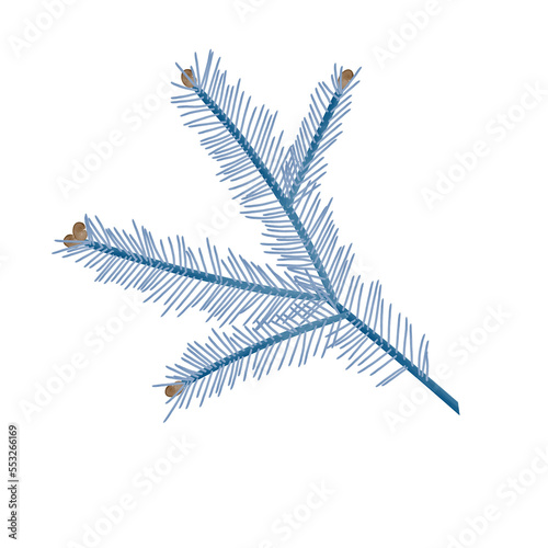 Christmas tree brunch blue colour 