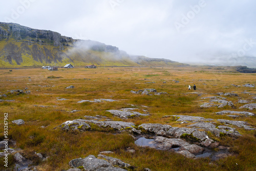 Landscape of the East Fjords (Iceland)