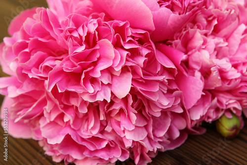 peonies flowers on wooden background