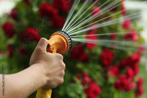 hand hose watering flowers photo