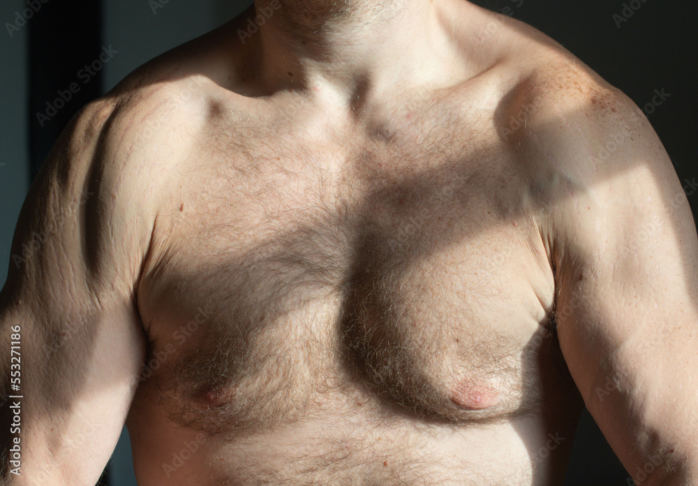 Muscular male chest with body hair, natural body build, copy space lifestyle theme Muscular male chest with body hair, natural body build, copy space lifestyle theme
