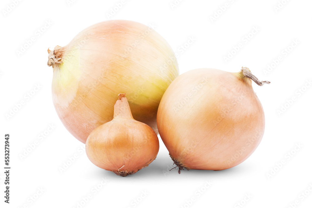 Fototapeta premium Fresh bulbs of onion on a white background