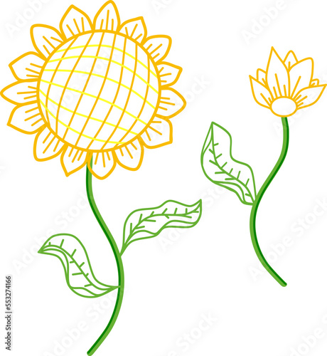 Sunflowers. Hand drawn colorful floral vector illustration.