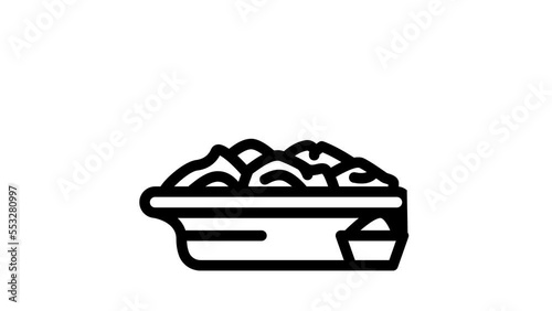plate with dumplings line icon animation photo