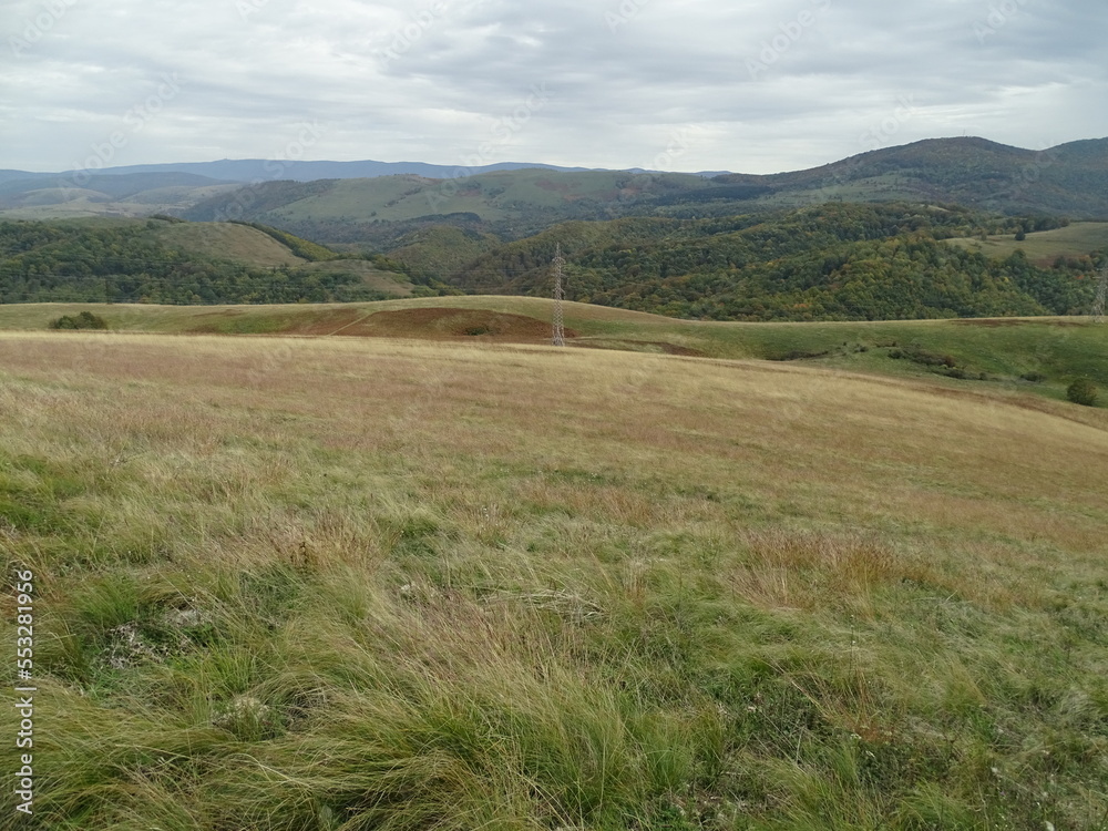 grass and mountains