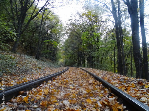 railway in autumn