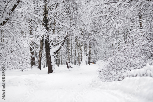 Winter landscape. Tsaritsyno Park on a snowy day. Trees in the snow. There are snowdrifts all around.