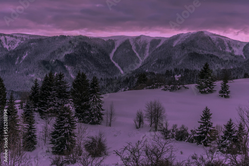 Winter forest, mountain landscape in the wintertime, snow-covered trees. Bulgaria, Gela, Rhodope Mountains