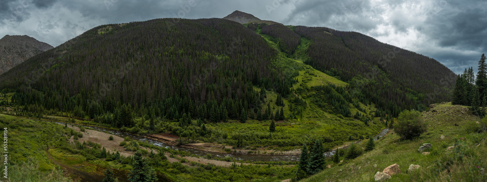 Forested mountain panorama with overcast skies and river