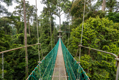 Treetop canopy walkway in Danum Valley primary jungle Lahad Datu Sabah Borneo Malaysia
