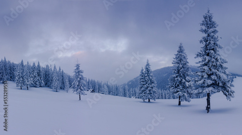 Beautiful winter panoramic landscape snow-covered conifer trees at sunrise. Winter in mountains. Merry Christmas background.