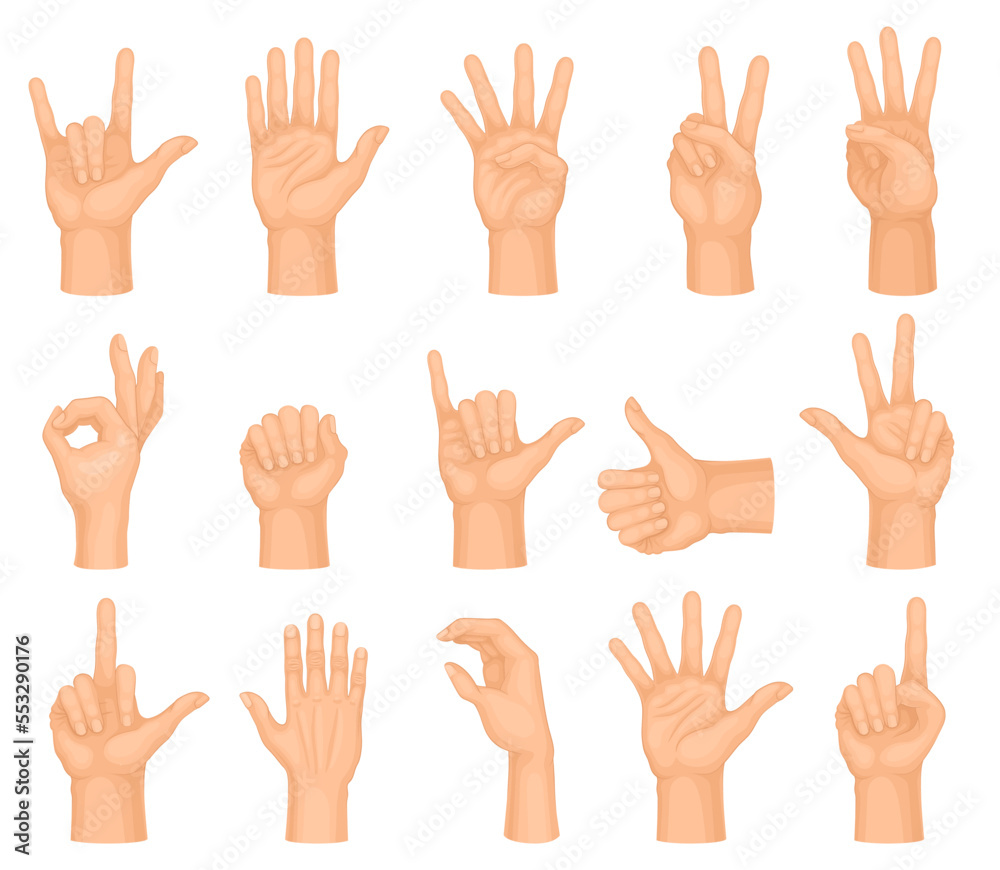 Human Hands Showing Different Gestures Big Vector Set Human Hands Showing Different Gestures Big Vector Set