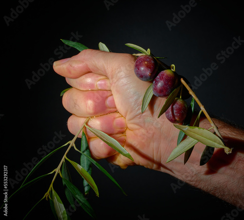 A hand extracting oil from olives