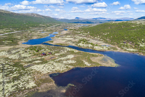 Wallpaper Mural Typical norwegian landscape in the Dovrefjell national park on a beautiful summer day with blue sky Torontodigital.ca