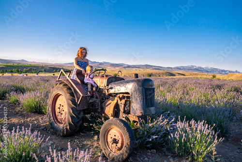 Gorgeous mountain landscape with lavender flowers. Woman on an old tractor in a lavender field. Beautiful rural sunset evening