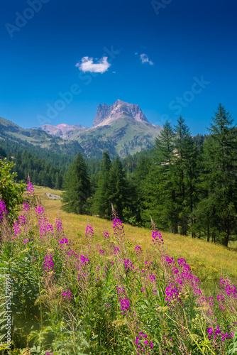 Beautiful mountain landscape of the valley in front of Mount Thabor, Alps,  France © Stefano Zaccaria
