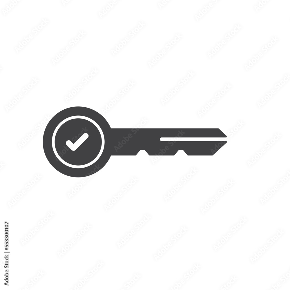 Key Check Icon Key Check Icon