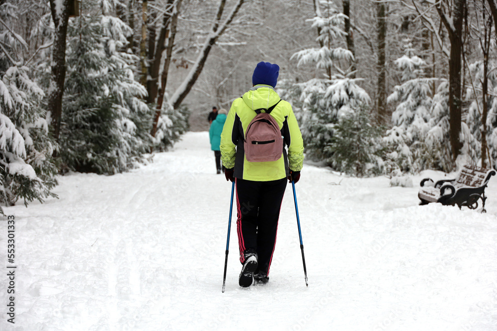 Nordic walking at cold weather, healthy lifestyle. Woman with sticks walks in winter park on snow covered fir trees background Nordic walking at cold weather, healthy lifestyle. Woman with sticks walks in winter park on snow covered fir trees background