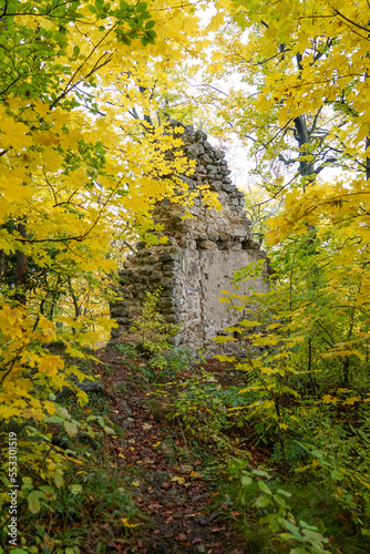 Wonderful and idyllic hiking trail in autumn