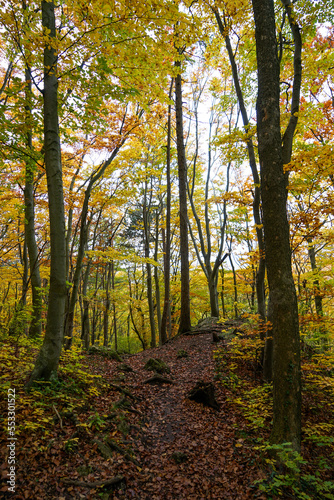 Fototapeta Naklejka Na Ścianę i Meble -  Wonderful and idyllic hiking trail in autumn