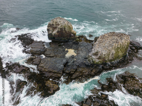 Aerial shot of the scenic birds rock at Punta de Lobos at Pichilemu, Chile