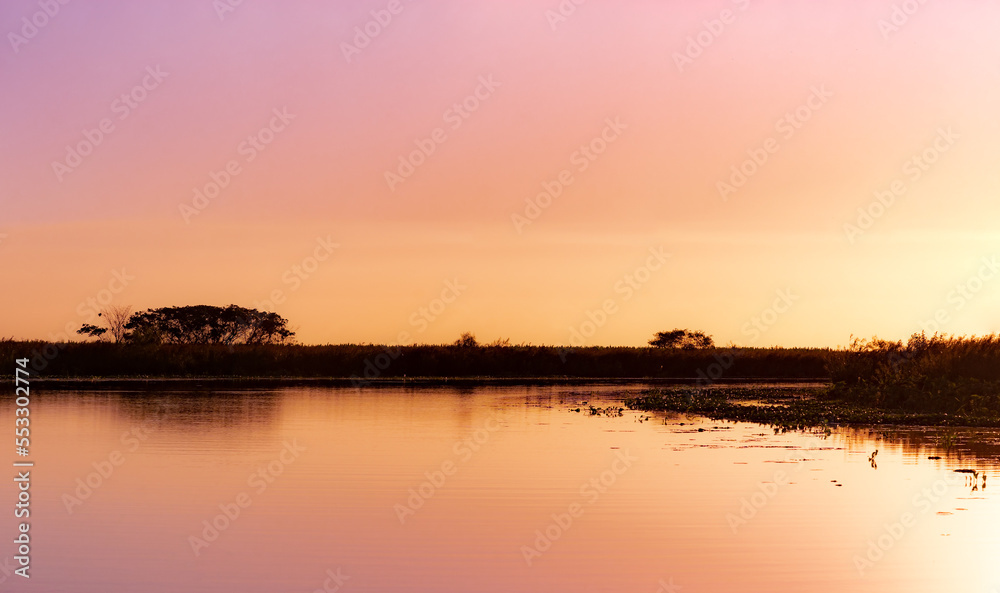 Amazing landscape of marsh during sunset with grassland, trees and Ibera lagoon in Ibera Wetlands Provincial Park, Corrientes, Argentina.