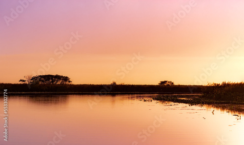 Amazing landscape of marsh during sunset with grassland, trees and Ibera lagoon in Ibera Wetlands Provincial Park, Corrientes, Argentina.