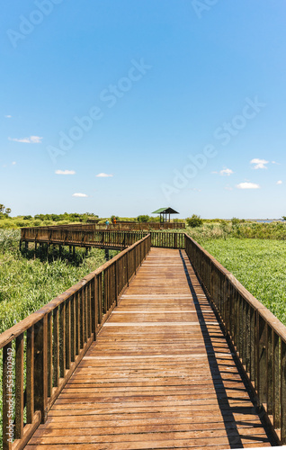 Vertical view of wooden trail in a beautiful wetland. Iberá Provincial Park, Corrientes, Argentina © Samponi