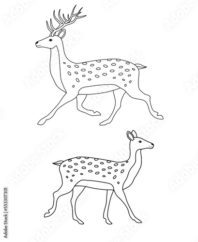 Vector two flat hand drawn outline deer isolated on white background