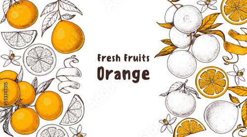 Orange fruit hand drawn design. Vector illustration. Design, package, brochure illustration. Orange fruit frame illustration. Design elements for packaging design and other.