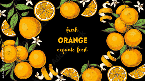 Orange fruit hand drawn design. Vector illustration. Design, package, brochure illustration. Orange fruit frame illustration. Design elements for packaging design and other.