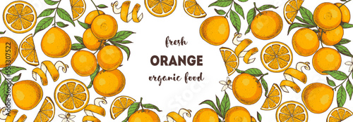 Orange fruit hand drawn design. Vector illustration. Design, package, brochure illustration. Orange fruit frame illustration. Design elements for packaging design and other.
