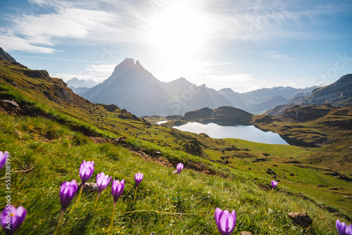Automn in Ossau Valley / View of the Pic du Midi d'Ossau