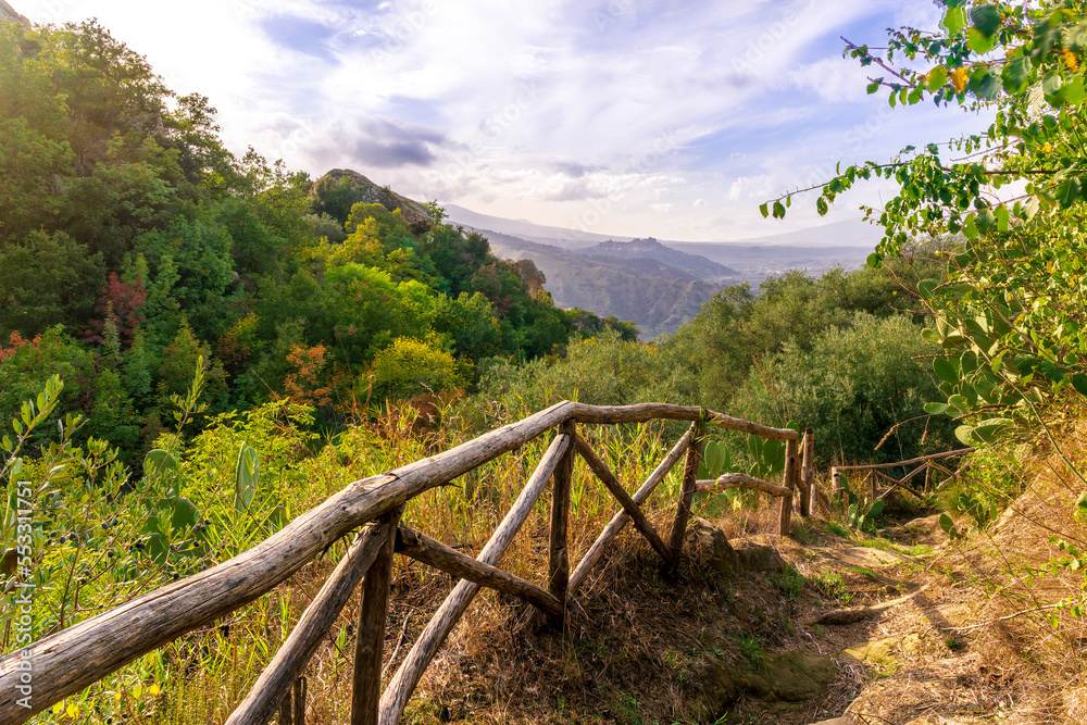 rustic trail in mountains with green grass and bushes, rural path to mountains in autumn rustic trail in mountains with green grass and bushes, rural path to mountains in autumn