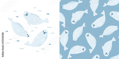 Cute vector collection with fur seal. Seamless pattern and animal illustration