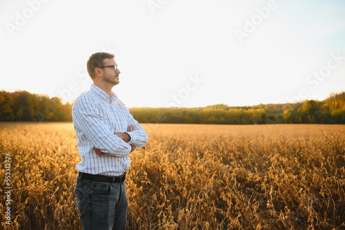 Farmer standing in soybean field examining crop at sunset. © Serhii