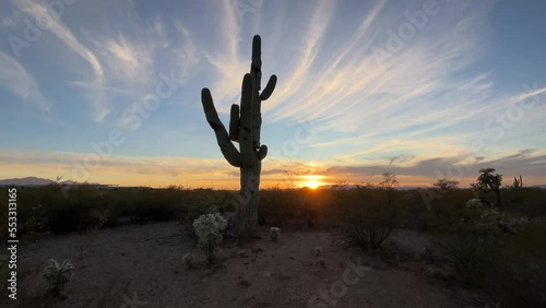 Desert Landscape In Arizona With Cactus