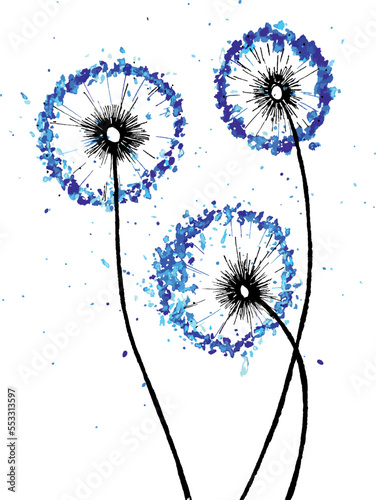 Decoration with dandelions flowers. Vector illustration. Botanical background