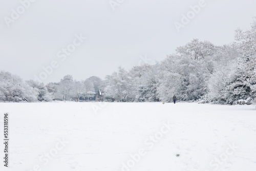 Trees in England during the winter snowfall © Tatiana