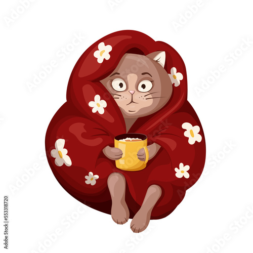 Сat is cold and wrapped in red blanket and holding a cup of hot cocoa. Kitty tries to keep warm in a blanket on a cold day. Spending time at home. Cute character in cartoon style.