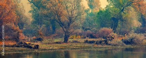 Autumn landscape showing forest on river shore on misty cold day