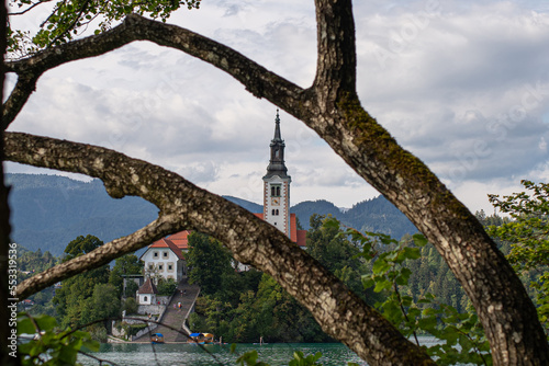 bled church between the branches of a tree