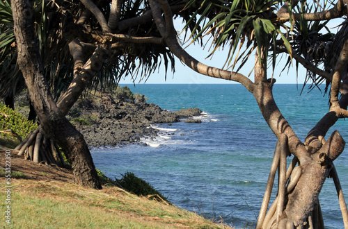 Ocean and pandanus trees at Elliott Heads in Queensland, Australia