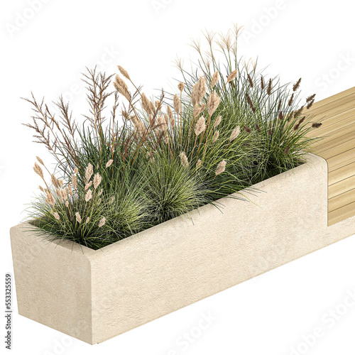  Bushes For Landscaping And Urban Environments on a white background photo
