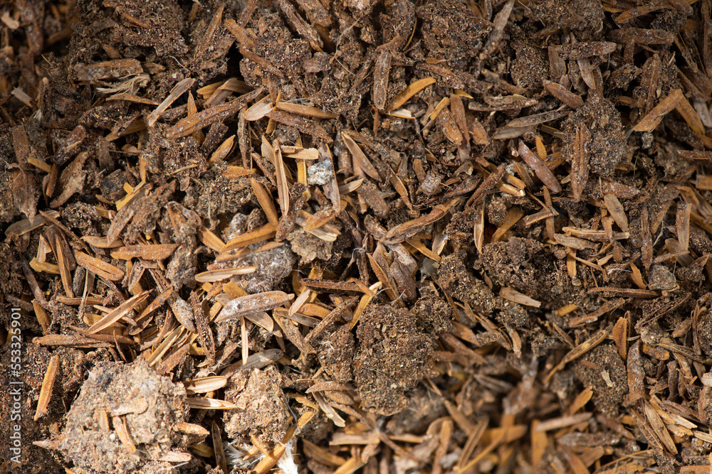 Chicken dung mixed soil on nature background. Chicken dung mixed soil on nature background.