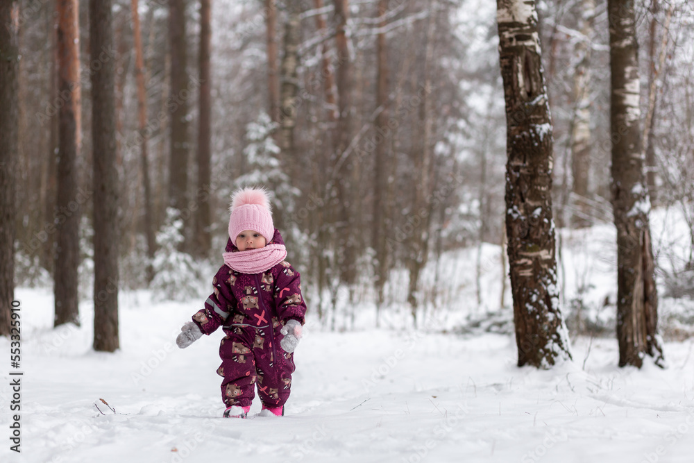 A little girl walks in a winter snowy forest, New Year holidays, winter, snow. A little girl walks in a winter snowy forest, New Year holidays, winter, snow.